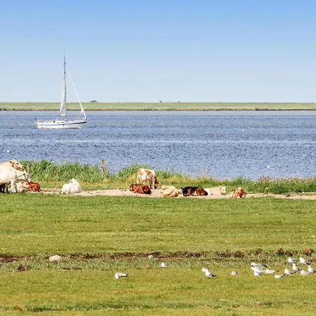 Ferienhaus In Ostseeresort