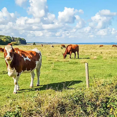 In Ostseeresort Olpenitz
